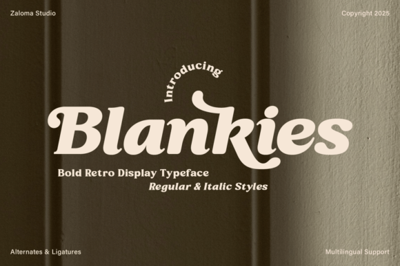 Blankies: A Retro Serif Font That Feels Like Home