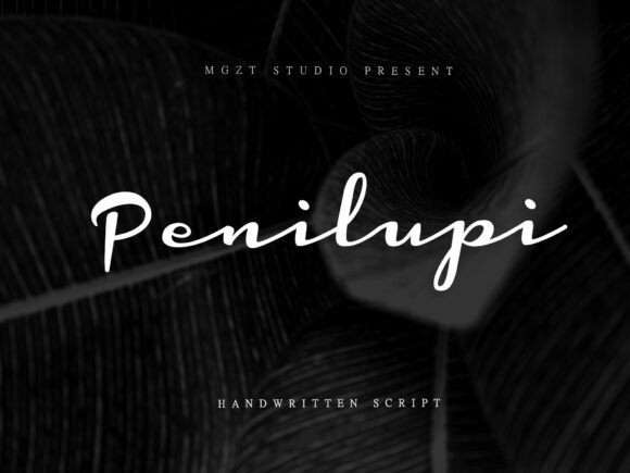 Penilupi: A Timeless Script Font for Thoughtful Editorial Design